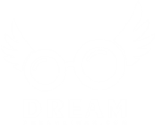Dream Himax logo
